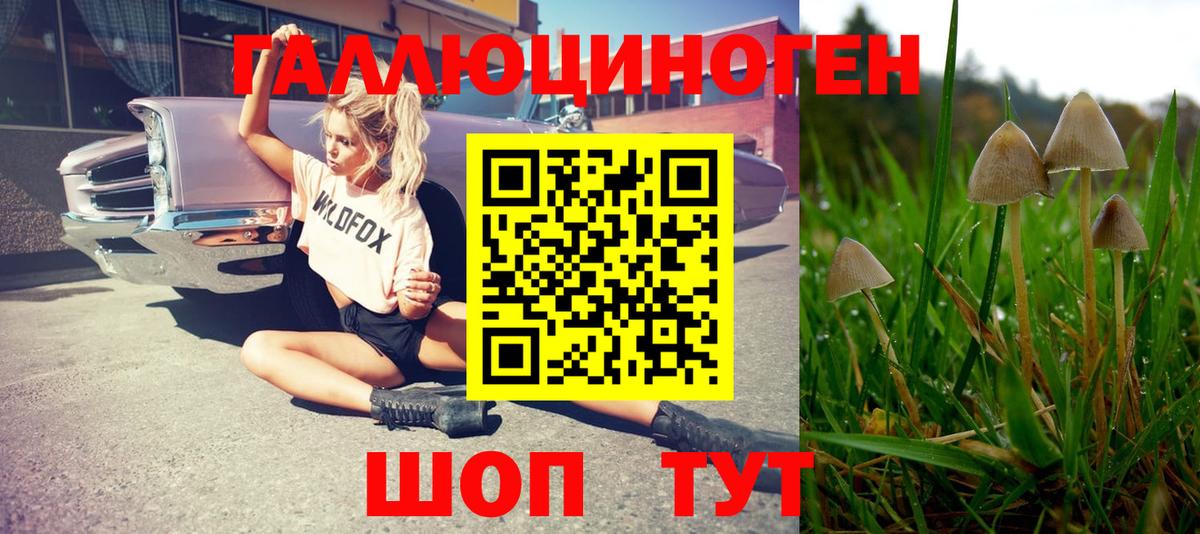 Галлюциногенные грибы мицелий Костомукша