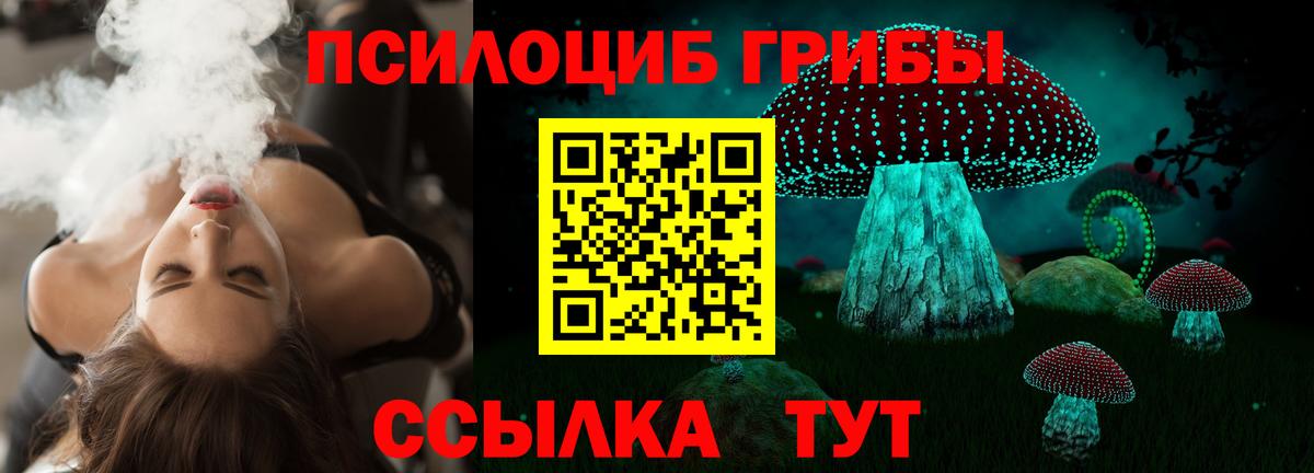 Костомукша  Псилоцибиновые грибы Psilocybine cubensis  сколько стоит  Вход с VPN 